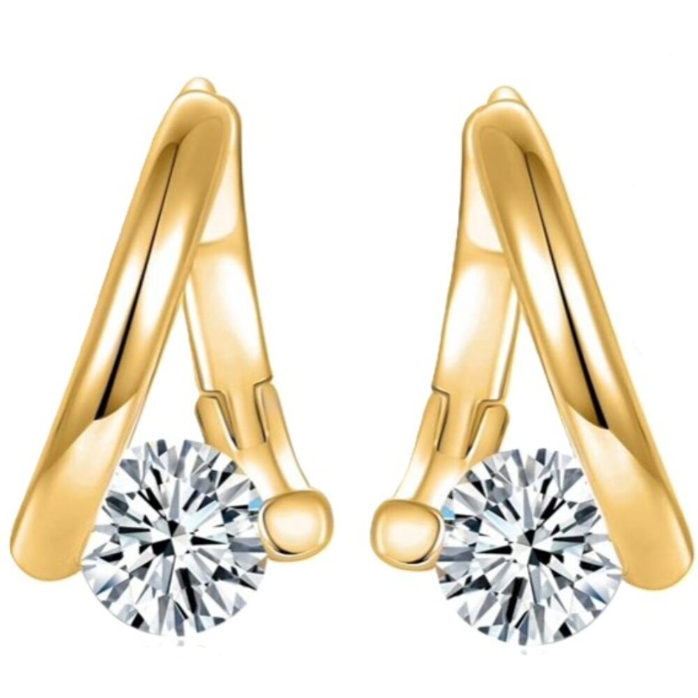 Lymphatic Germanium Magnetology Drainage Gold Electro-Plated Hoop Earrings